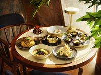 【LUNCH｜Harbor Lunch】主菜・麺飯・甘味が選べるランチコース 全5品