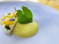 「Terre et Mer 2026 （大地と海）」ハーフサイズのアルコールペアリング付き　2026年7月31日～8月3日限定