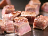 5/1〜パーティプラン【A】車えびなし　