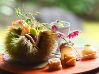 京懐石料理　13品（季節の特選素材）