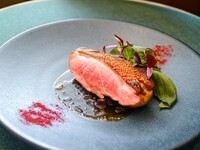 【ランチ】《5/14～7/2期間限定》初夏のフレンチ特別コース（6品）《乾杯ドリンクプレゼント》