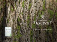[Guitar performance only on Thursdays and Fridays♬] Telmont Champagne x Chinese Afternoon Tea
