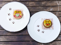 <Option> Mini cake for dogs
