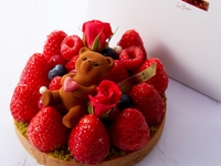 Coffret Noomy Fraise