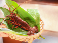 SPECIALコース + ドンペリニョン 1杯を含むペアリング（4/24～）