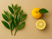 柚子とグリーンティーアフタヌーンティー