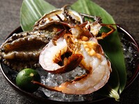 【松下】×【仅限线上预约 - 春季】牛排价格上涨25%