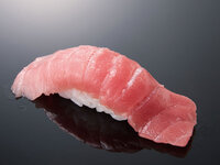 生本鮪中とろ