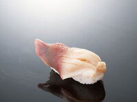 surf clam