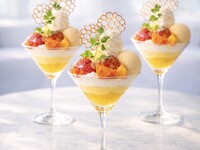 Seasonal citrus and vanilla sunshine parfait