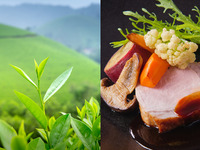 【新緑の彩り】入間産・香る狭山茶（さやまかおり種100％）と旬野菜のハーフランチコース-SEASON-