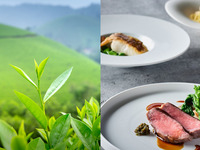 【新緑の彩り】入間産・香る狭山茶（さやまかおり種100％）と旬野菜、鮮魚とメイン料理のフルコース全5品-SHIKITEI-