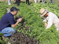 Farm Visit & Dinner Package