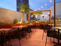 [Terrace seating only] Lunch course with your choice of 4 main dishes + coffee after the meal