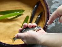 【7月・8月　昼限定イベント】鮎まつり～串打ち体験と特別料理～