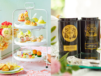犬同伴【マリアージュフレール付】Peach Vacances afternoon tea（平日）