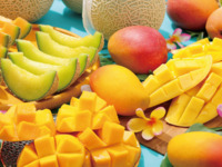 Fruit course "Melon & Mango" (Children's price)