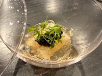 平ちゃん季節のおまかせコース 【鮎とかき氷】