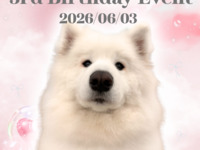 [Limited to 6 PM and 7 PM slots] Watage Birthday Event