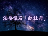 ＜平日半個室＞〝白牡丹〟