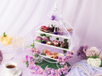 [Aquarium Afternoon Tea] Hydrangea Afternoon Tea "In Love with Rain" & unlimited wine and coffee!