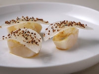 Dinner Terroir with Welcome Glass Champagne 6/1～