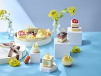 シェラトンスイーツボックス【6月 千葉×メロン スイーツ】