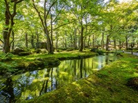 【オプション】しょうざん庭園チケット