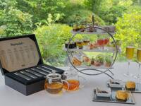 [Afternoon tea with Yame matcha and Fukuoka fruit] Free refills of Mighty Leaf tea