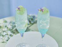 ＜平日・スペシャルドリンク付き＞THE NATIONAL GALLERY LONDON AFTERNOON TEA -Monet-　マリアージュフレールもお替り自由