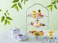 Afternoon Tea