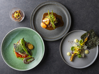【Signature Course】Appetizer, Fish, Meat, Dessert