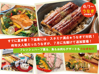 6/1~  うなぎが追加登場★フレッシュハーブ薫る　魚もお肉もデザートも！【土日祝】小学生２部　