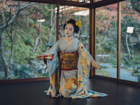 【7/20～7/23限定】芸舞妓さん舞踊観覧付きランチ
