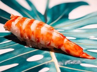 Sushi course
