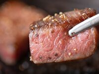 WEB予約限定：あけぼの味わいコース｜厳選牛ヒレステーキ（100g）