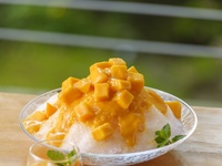[Tea Time] Mango shaved ice