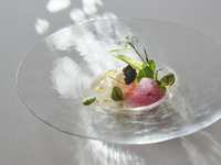 Menu Piacere　6月15日～