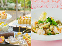 ♦6月平日限定♦おすすめランチ【カフェフリープレゼント】スイーツ8種を選べるデザートワゴン付き＊スープ・パスタランチセット