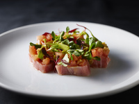 【DINNER】新Share Course シェアコース 全5品