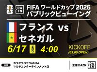 【6/17（水）フランス VS セネガル】⚽サッカー観戦パック3時間