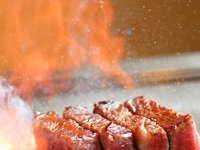 [Limited time offer: August 11th - August 16th (Obon holiday)] Fillet Lunch
