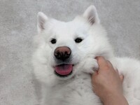 ≪토일요일 공휴일≫ 전세 플랜(50분)¥45,000