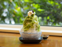 Shaved ice [Matcha and Wasanbon sugar]