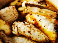 18:30 瀬戸内ナポリ料理【パスタ好きのお客様へ】旬の食材（魚介）を中心としたお料理5品、パスタ2品のコース ¥15000(別途サービス料※予約時間の5分前までにご来店くださいませ。