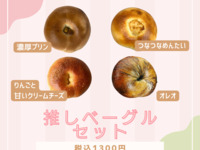 Set of 4 Favorite Bagels