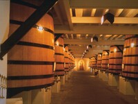 ◆◇8/22(土)限定　日本料理「木の花」×ENOTECA コラボレーションディナー◇◆