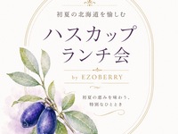 ハスカップランチ