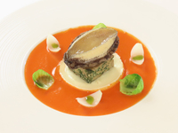 [Super Premium] 10 courses total