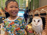 【60分小学生以下4～12歳】 触れ合い＋フクロウ乗せ体験＋1オーダー制